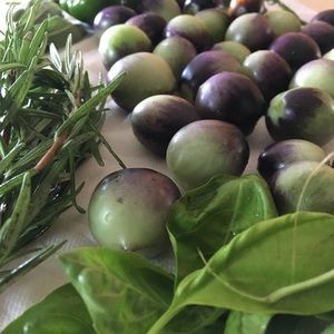 Meet your Posher, Dinah